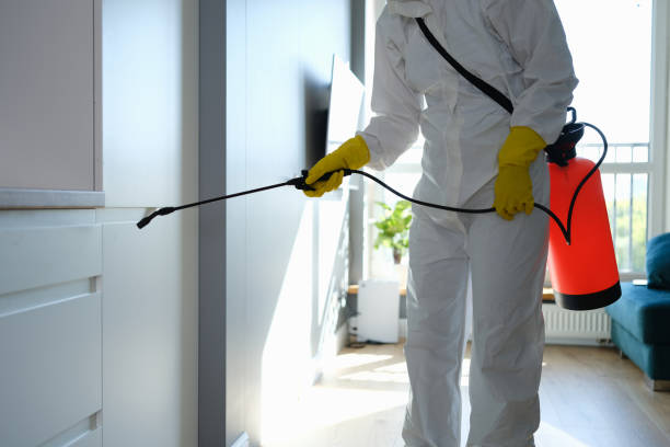 Best Mold Remediation for Specific Building Types in Granbury, TX