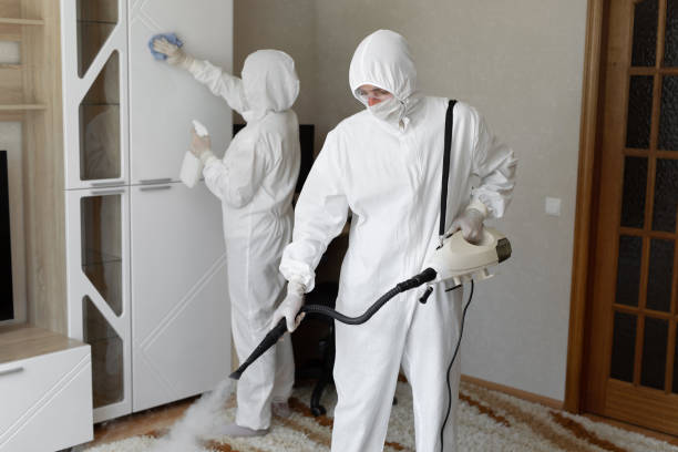 Professional Mold Remediation in Granbury, TX