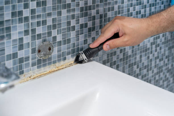 Best Bathroom Mold Remediation in Granbury, TX